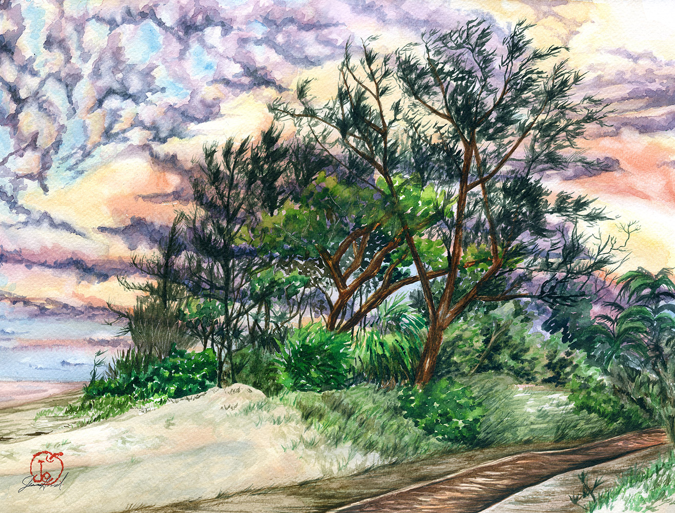 Featured image for “Casuarina”