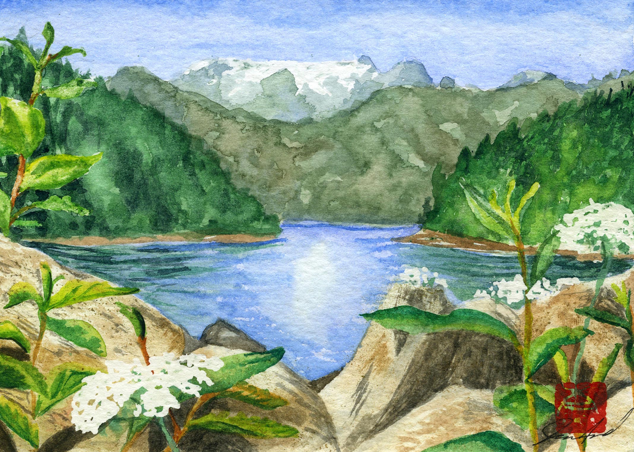 watercolour painting, watercolor painting, Calgary art collector, Comox Glacier, Alberta art, Calgarian Artist.