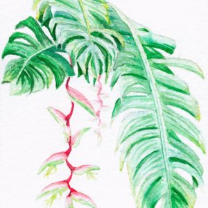 watercolour painting, watercolor painting, Calgary art collector, heloconia, Alberta art, Calgarian Artist.