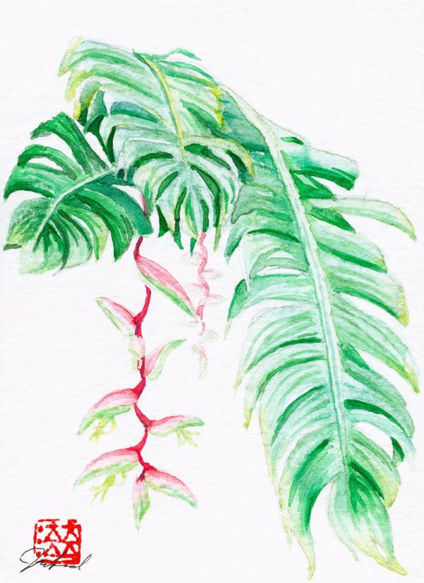 watercolour painting, watercolor painting, Calgary art collector, heloconia, Alberta art, Calgarian Artist.