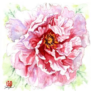watercolour painting, watercolor painting, Calgary art collector, floral painting, Alberta art, Calgarian Artist.