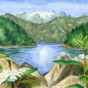 Canadian Wilds