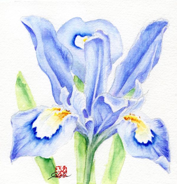 Floral Garden Art Card Set - Image 4