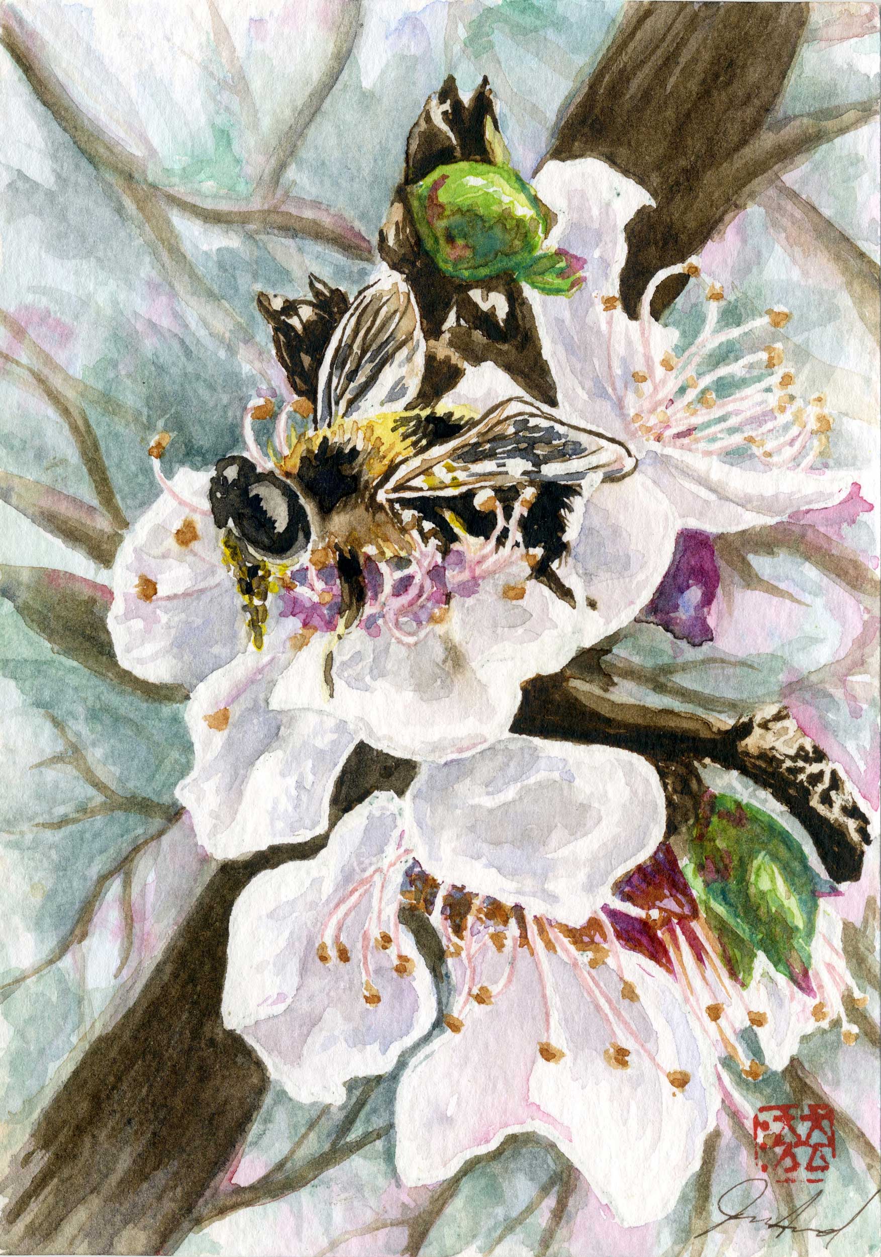 Featured image for “Cerena & Blossom”