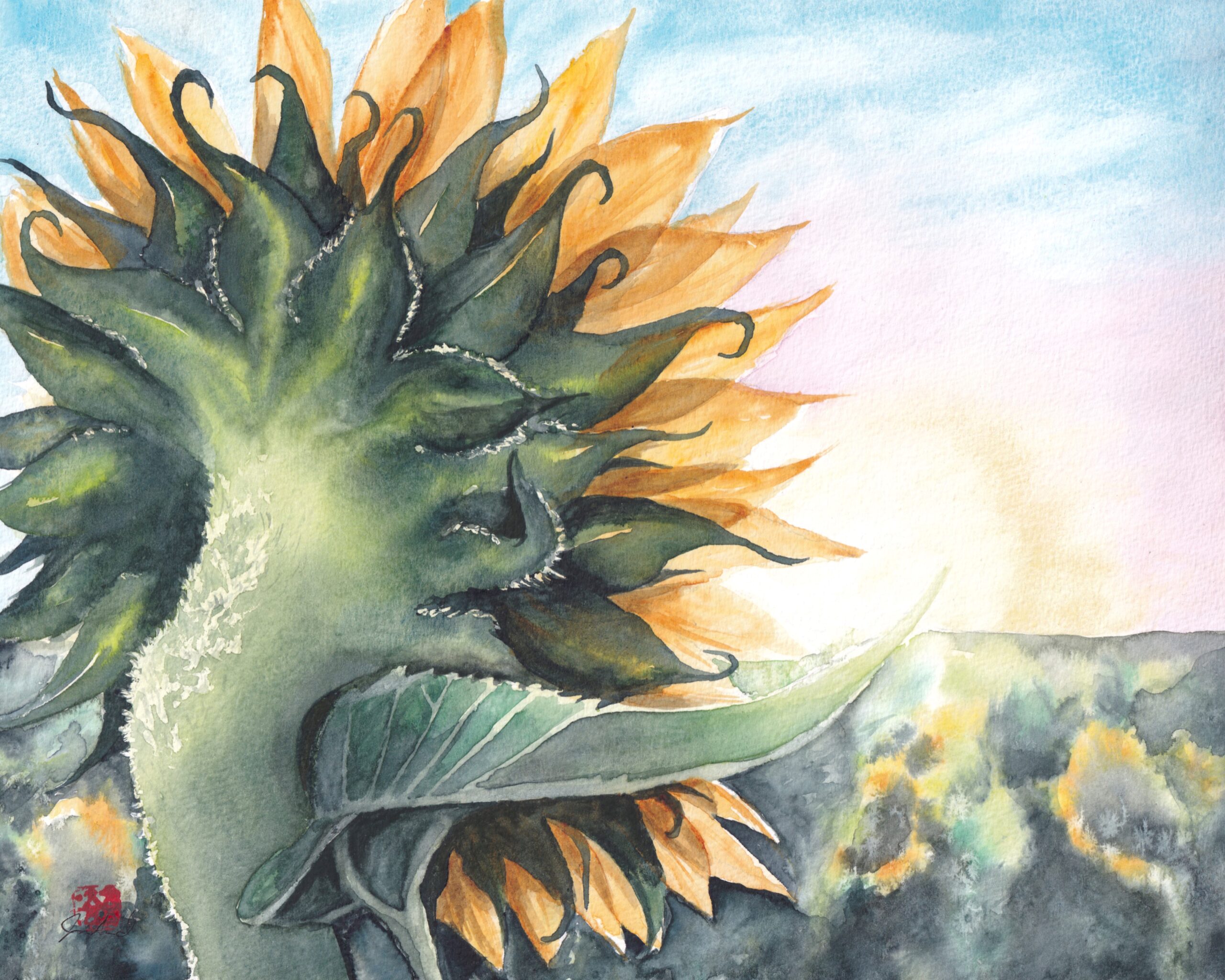 Featured image for “Sunflower in the Sunrise”