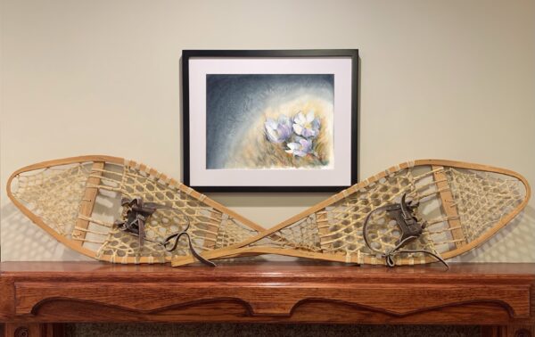 Prairie Crocus & the Promise of Spring - Image 2