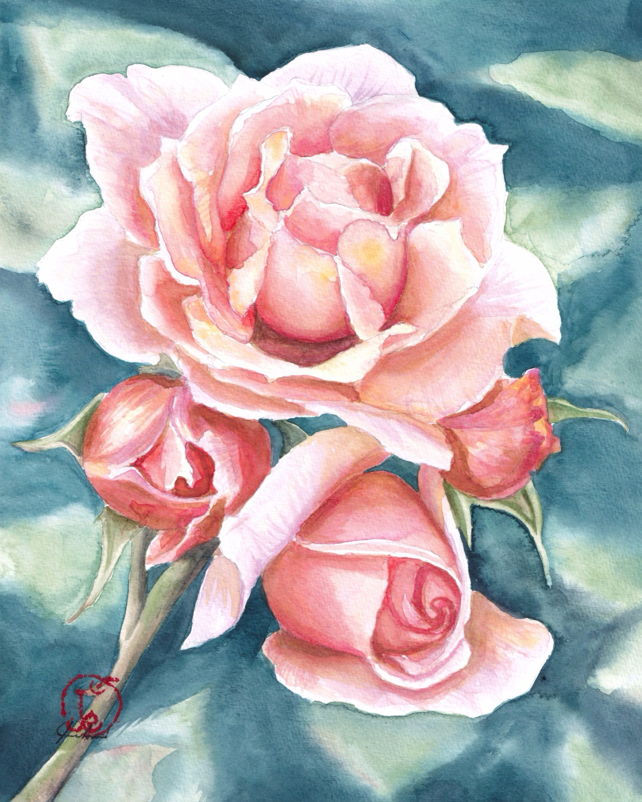 Featured image for “The Queen’s Rose - 1”