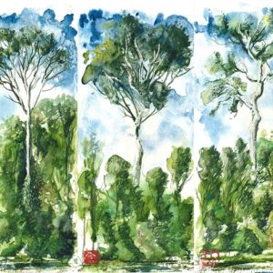 watercolour painting, watercolor painting, Calgary art collector, Borneo painting, Brunei Temburong, Alberta art, Calgarian Artist.