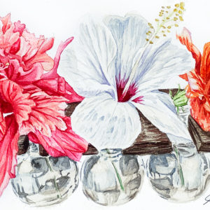 Flora & Fauna