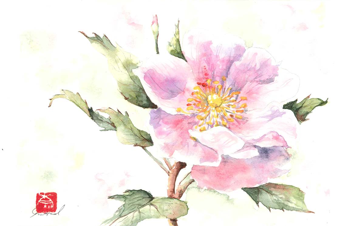 Featured image for “Wild Rose Country”