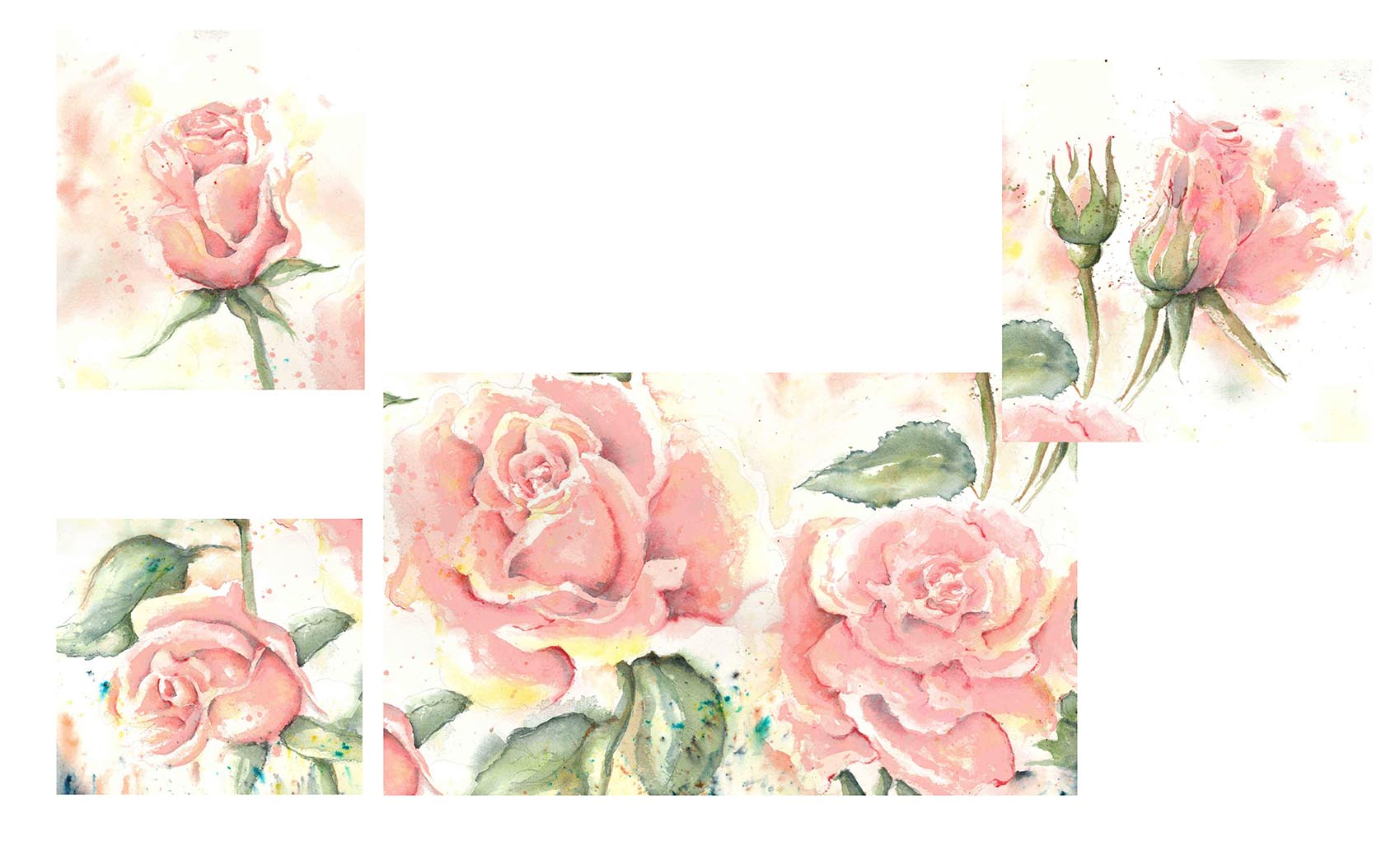 Featured image for “Rose Collection”