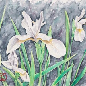 watercolour painting, watercolor painting, Calgary art collector, Alberta art, Calgarian Artist, floral watercolor, Iris painting