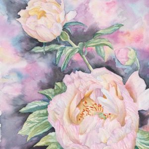 Peony watercolour, Canadian artist, Calgary artist, Calgary art collector