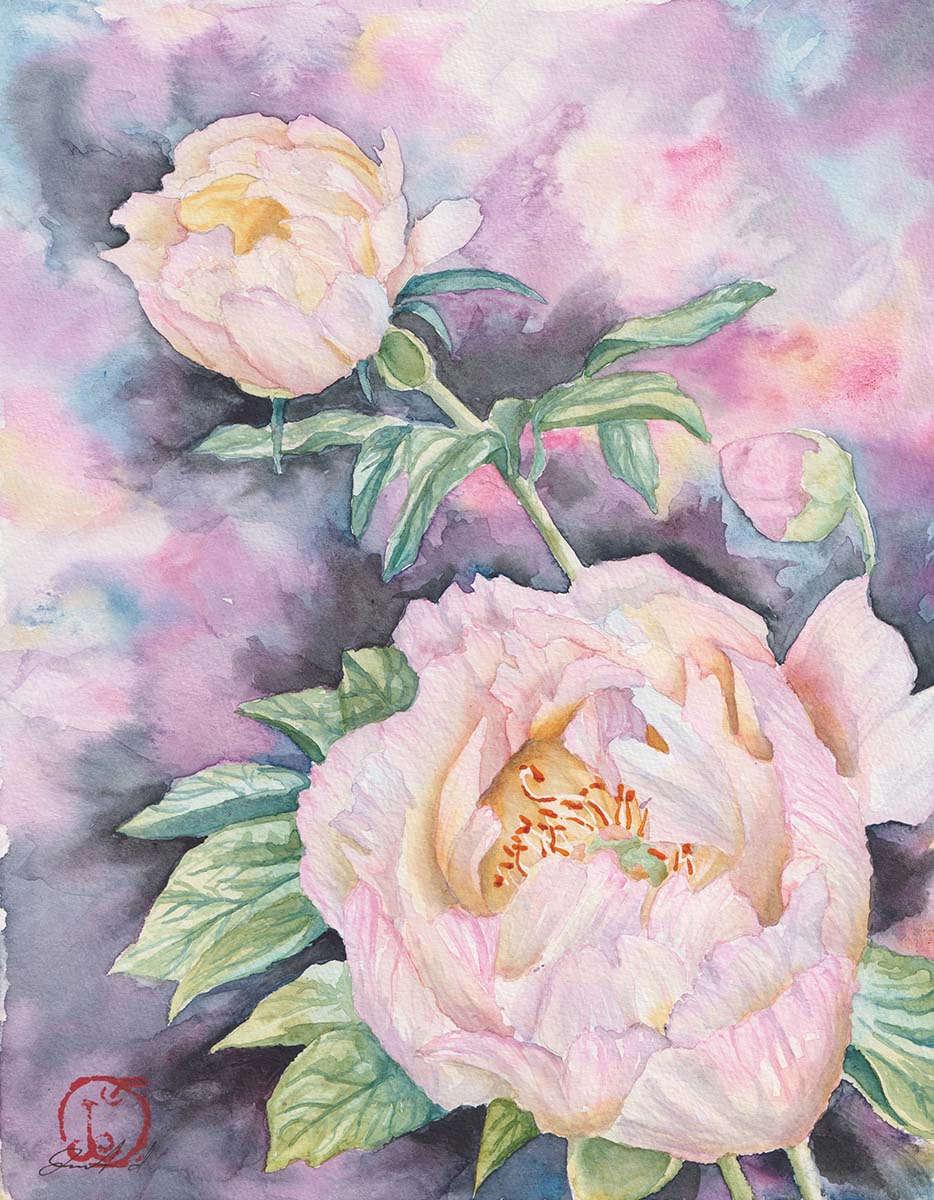 Featured image for “Peonies”
