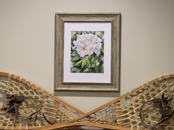 Rose Cluster 2 - Image 8
