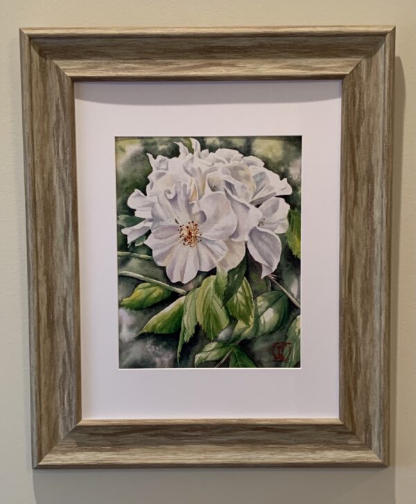 Rose Cluster 2 - Image 2