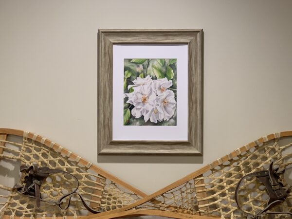 Rose Cluster 1 - Image 3