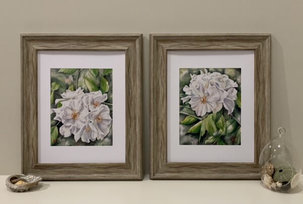 Rose Cluster 2 - Image 6