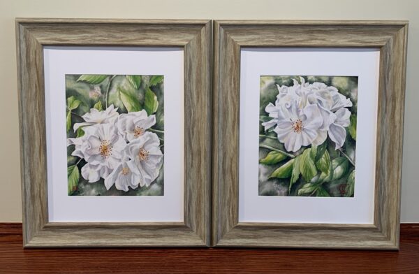 Rose Cluster 2 - Image 7