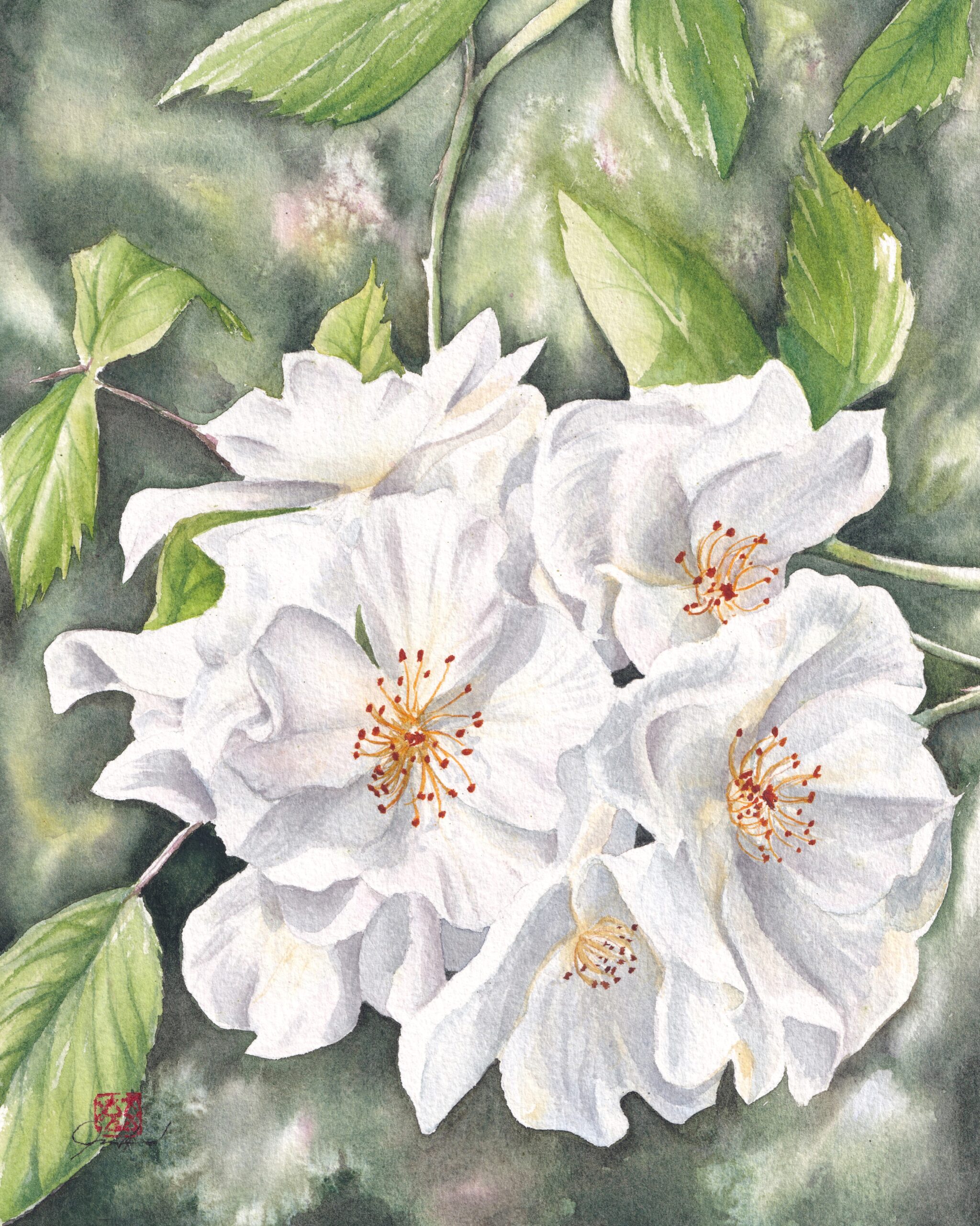 Featured image for “Rose Cluster 1”
