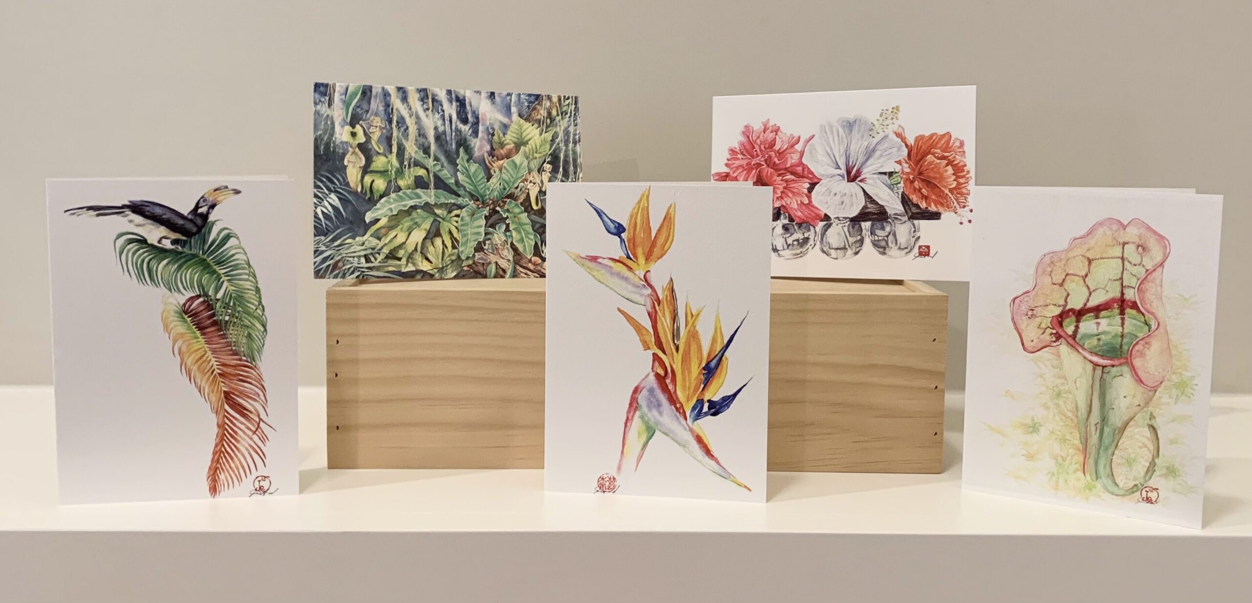 Featured image for “Jungle Art Card Set”