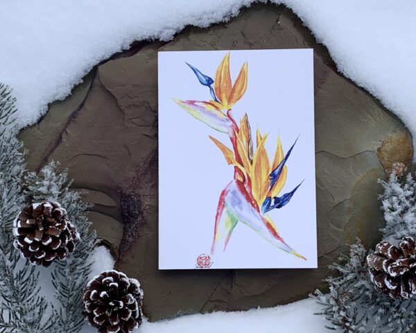 Jungle Art Card Set - Image 10