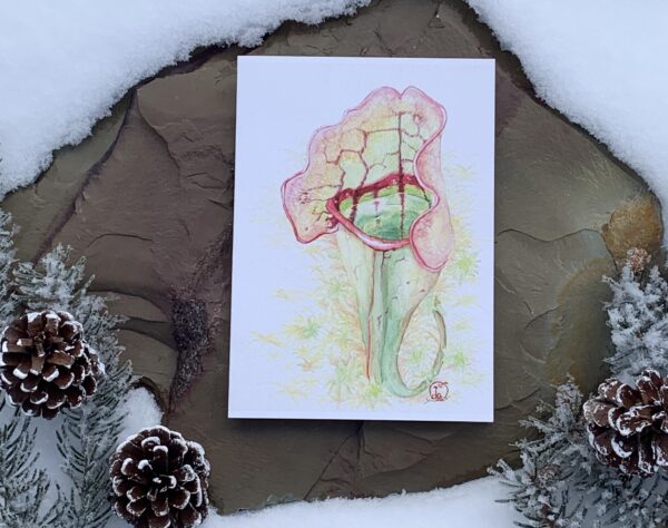 Jungle Art Card Set - Image 11