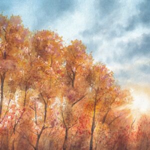 Original Alberta Watercolour painting featuring golden autumn aspens at sunrise, inspired by a backyard view in Calgary. Canadian landscape art by a local artist celebrating the beauty of nature