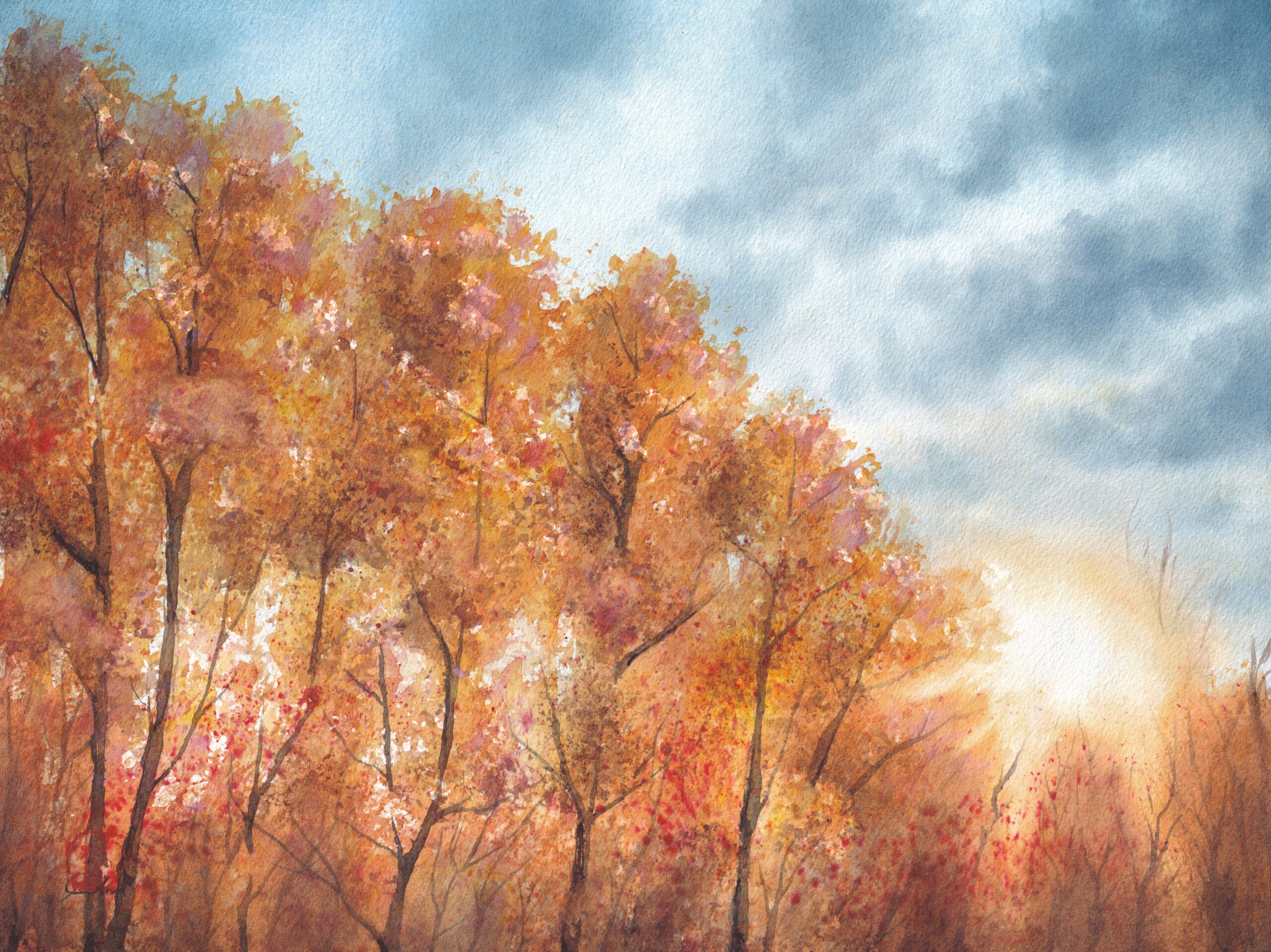 Original Alberta Watercolour painting featuring golden autumn aspens at sunrise, inspired by a backyard view in Calgary. Canadian landscape art by a local artist celebrating the beauty of nature