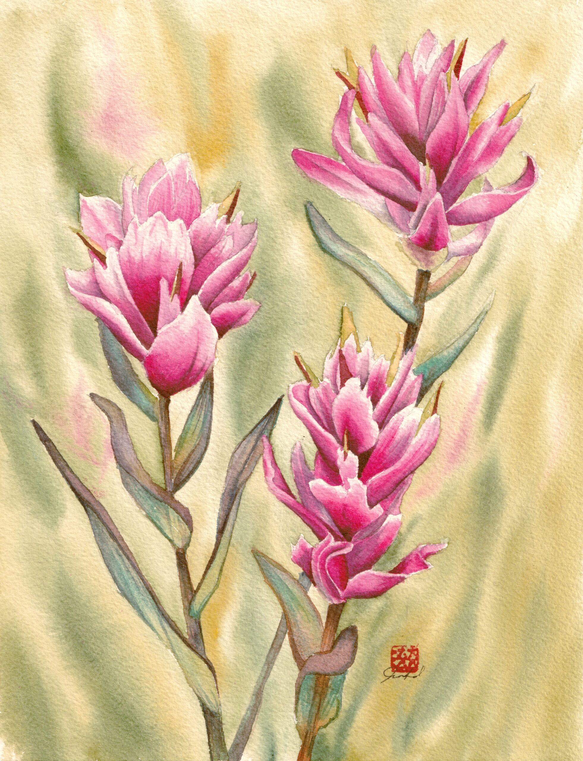 Featured image for “Alberta's Paintbrush”